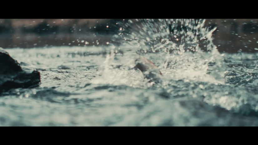 MARTIN FLY COMMERCIAL 2026